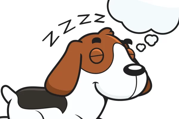 dogs dream
