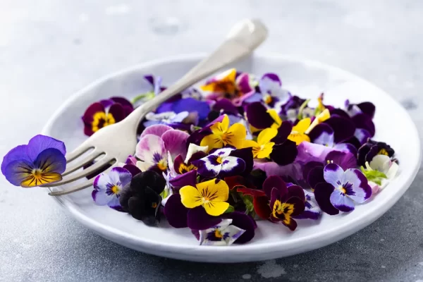 10 Edible Flowers